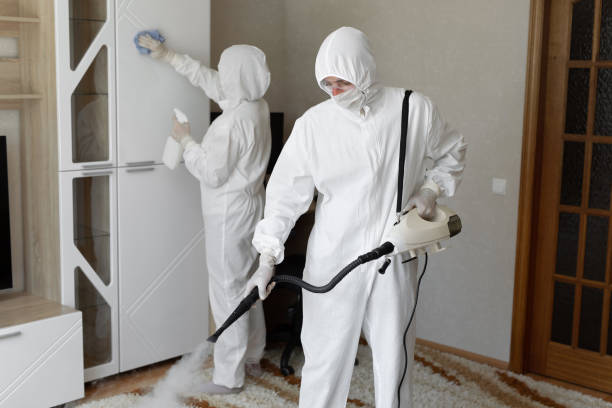 Best Black Mold Removal  in Woodcliff Lake, NJ