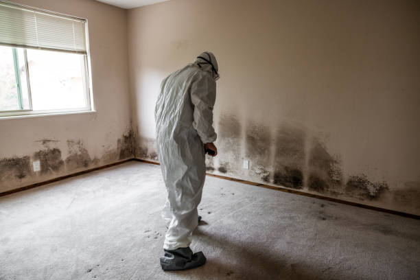 Woodcliff Lake, NJ Mold Removal Company