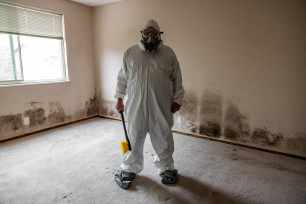 Best Local Mold Removal Service  in Woodcliff Lake, NJ