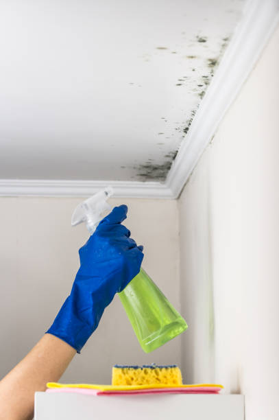 Best Commercial Mold Removal  in Woodcliff Lake, NJ
